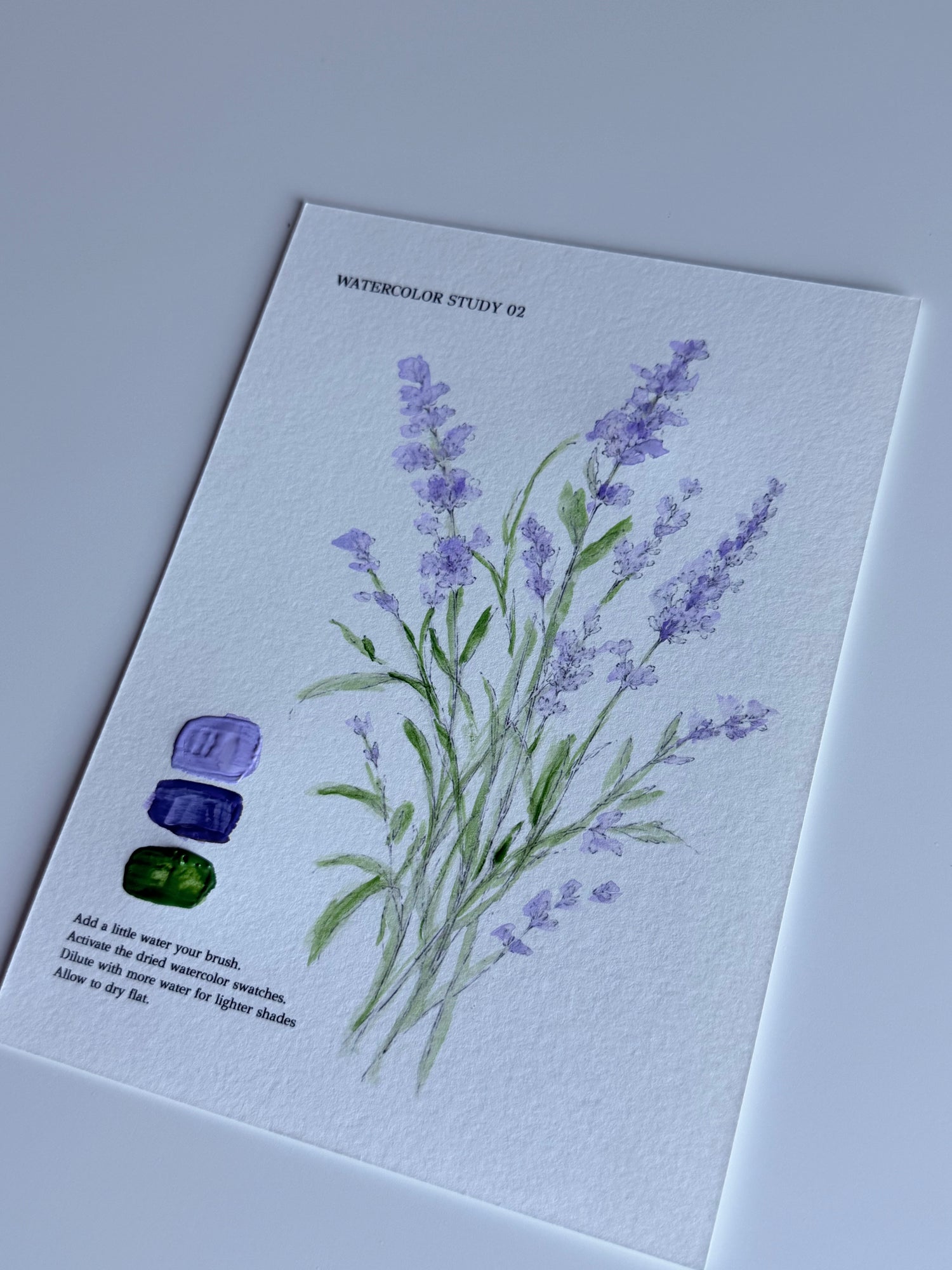 A watercolor study card featuring lavender flowers with green stems on textured white paper, with three colored paint swatches on the left and small printed instructions and title text.
