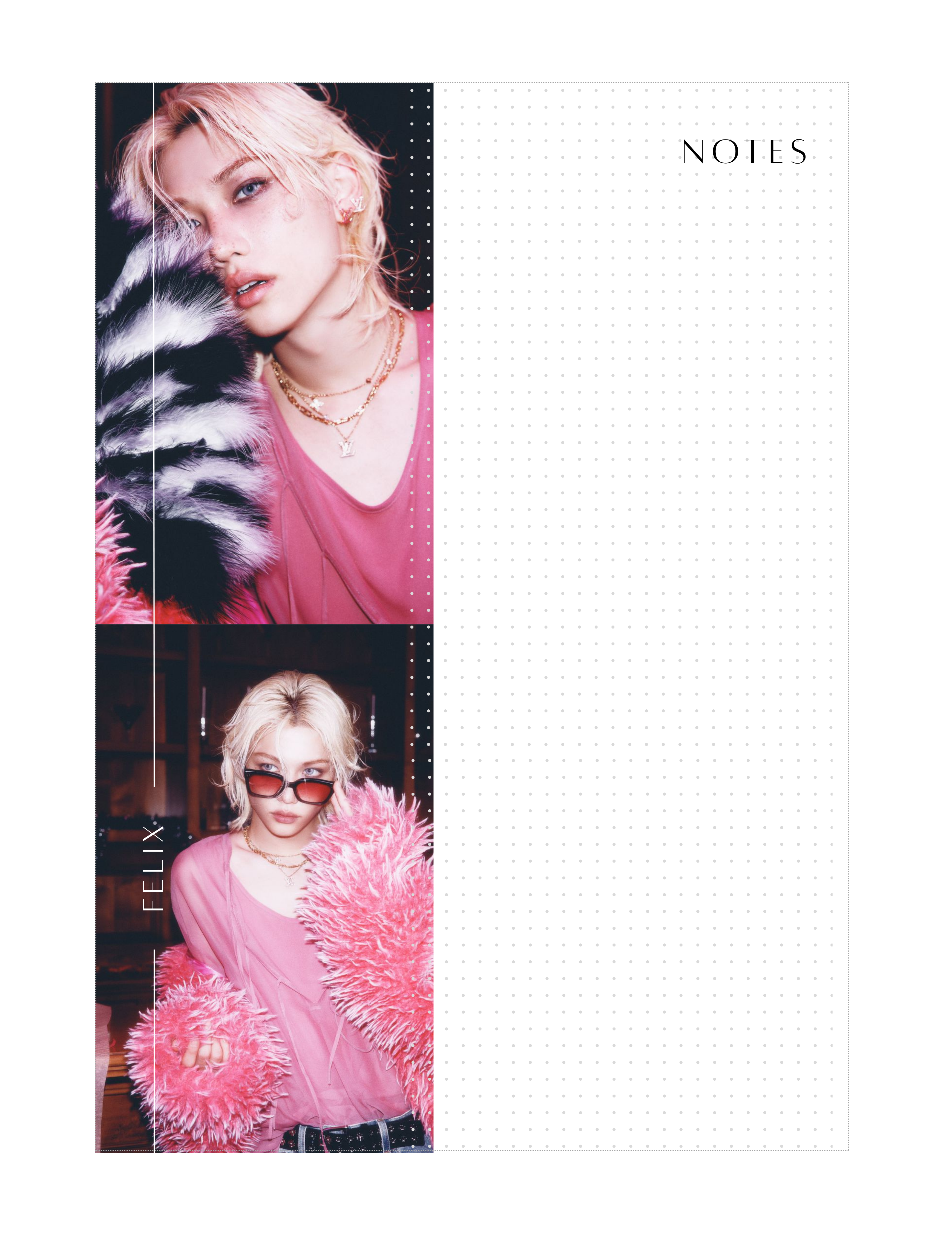 Felix 4.5x6.5 Notepad #5